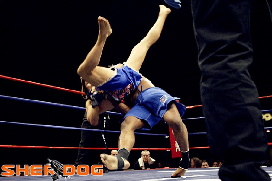 New York Combat Sambo